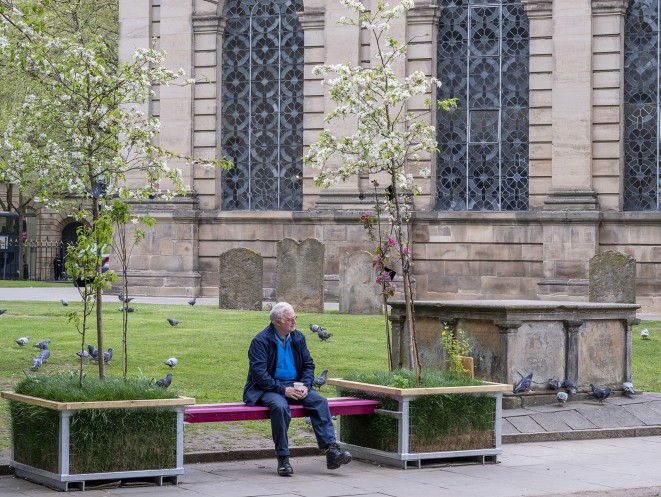 National Trust Blossoms - Additional image 5