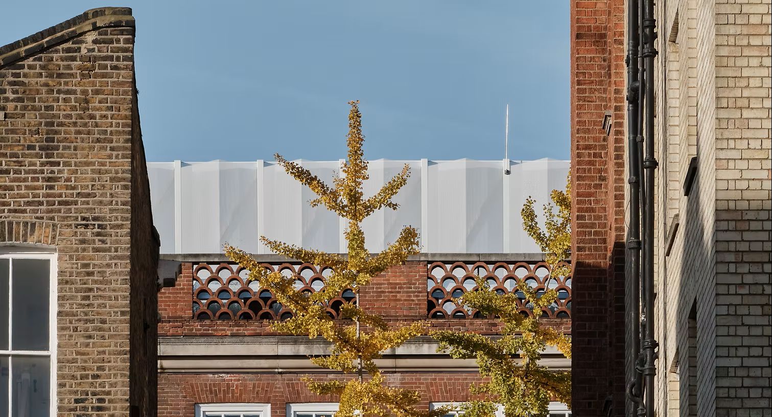 Halcyon School Wellbeing Garden  - Additional image 1